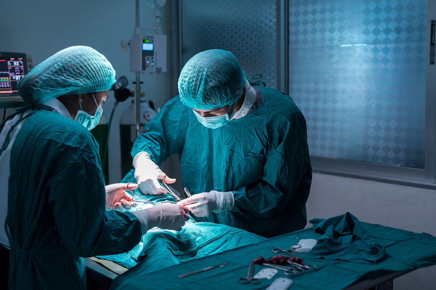 dos-cirujanos-operando-animal