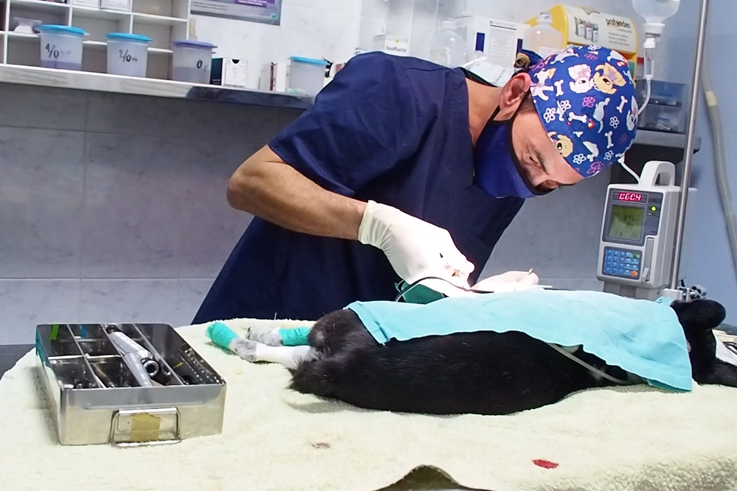 Veterinario-heciendo-cirurgia-a-perro