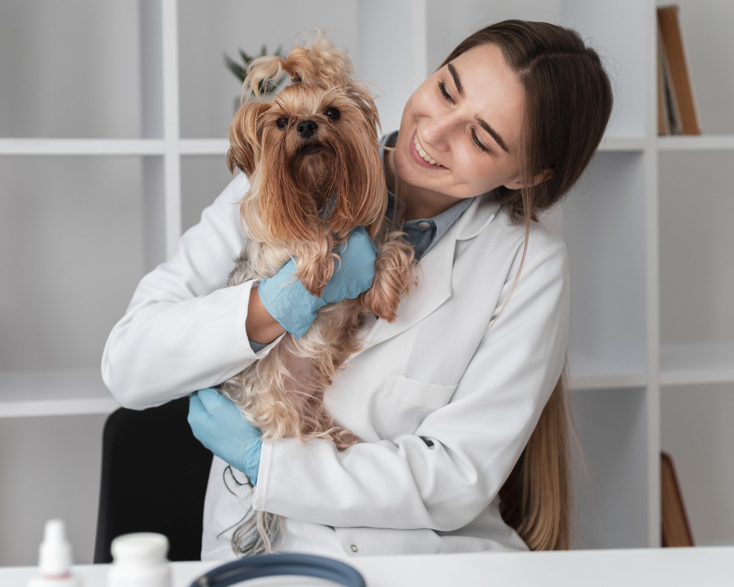 Chica joven con perro en despacho