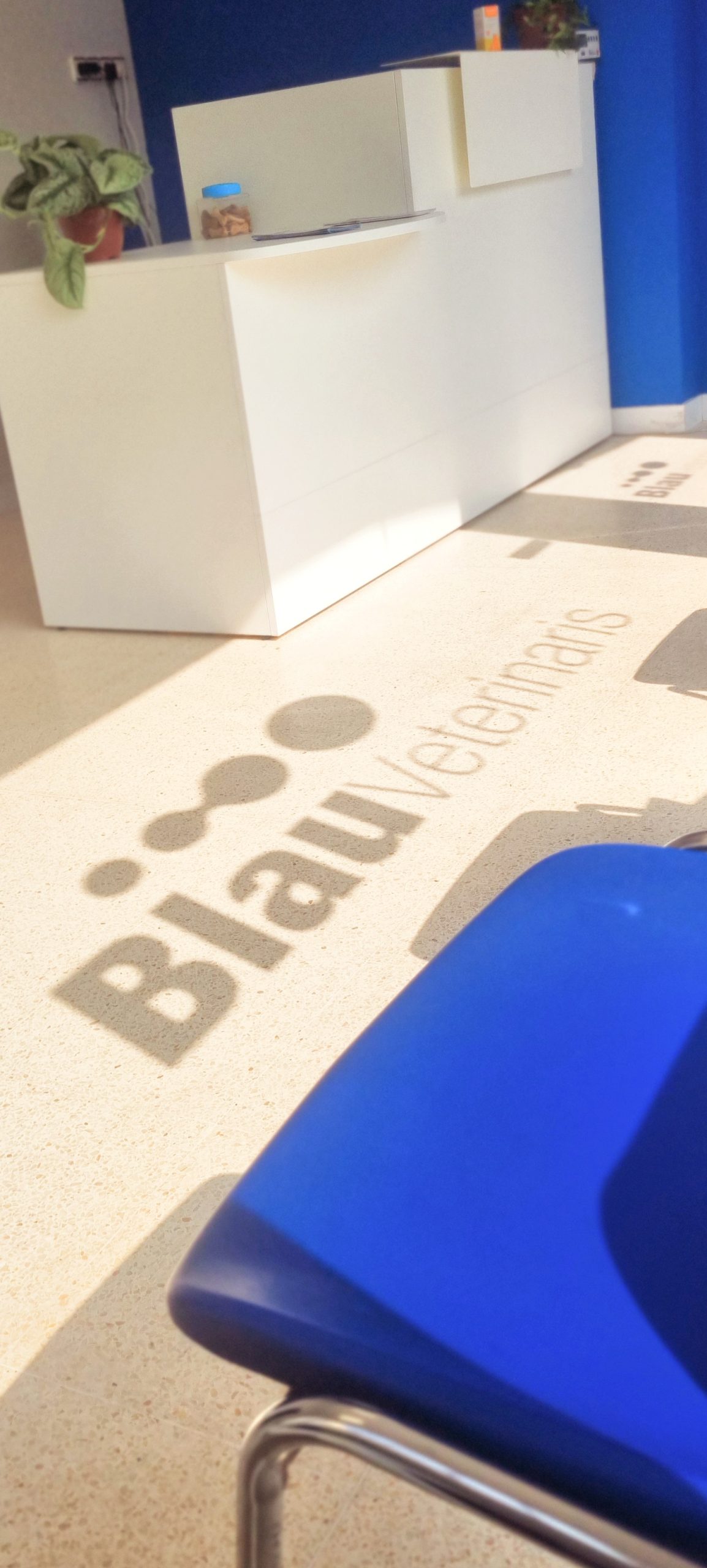 Logo-clínica-lliçà